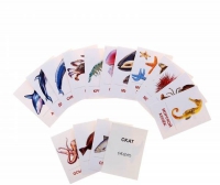 Раздаточные карточки "Мир морей и океанов" - «globural.ru» - Архангельск