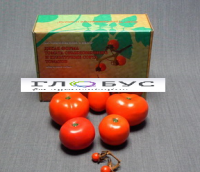 Муляжи Дикая форма и культурные сорта томатов - «globural.ru» - Архангельск