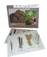 Коллекция "Торф и продукты его переработки" (вариант 1) - «globural.ru» - Архангельск