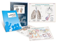 Комплект транспарантов «Человек и его здоровье. Дыхание» - «globural.ru» - Архангельск