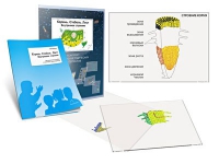 Комплект транспарантов «Корень. Стебель. Лист (Внутреннее строение)» - «globural.ru» - Архангельск