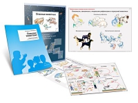 Комплект транспарантов «Опасные животные» - «globural.ru» - Архангельск