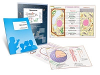 Комплект транспарантов «Цитология» - «globural.ru» - Архангельск