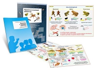 Комплект транспарантов «Ядовитые и жалящие животные» - «globural.ru» - Архангельск