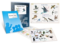 Комплект транспарантов «Зоология. Птицы» - «globural.ru» - Архангельск