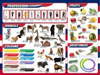 Стенд "Цвета, животные, профессии, фрукты, овощи" - «globural.ru» - Архангельск