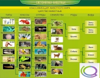 Стенд "Систематика животных" - «globural.ru» - Архангельск