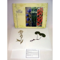 Гербарий ядовитых растений (20 видов) - «globural.ru» - Архангельск