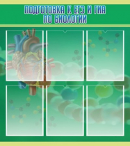 Стенд "Подготовка к ЕГЭ и ОГЭ по биологии" (вариант 1) - «globural.ru» - Архангельск