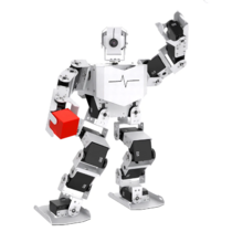 Базовый робототехнический набор  "Техник" для изучения систем управления робототехническими комплексами и андроидными роботами "Сережа ИН Про". Полный комплект на Raspbery Pi - «globural.ru» - Архангельск