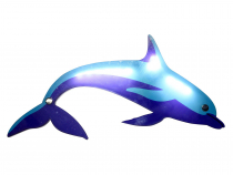 Прибор интерактивный световой «Дельфин» - «globural.ru» - Архангельск
