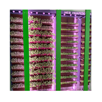 Вертикальная ферма "Моя Микрозелень" комплектация Школьная - «globural.ru» - Архангельск