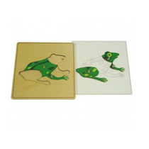 Строение лягушки с контуром - «globural.ru» - Архангельск