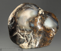 Агат дендритовый (халцедон), полировка - «globural.ru» - Архангельск