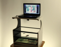 Мультстанок для перекладной анимации  - «globural.ru» - Архангельск