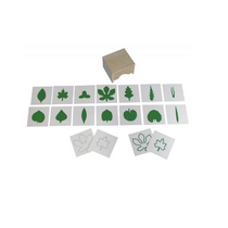 Шкафчик с карточками к ботаническому комоду - «globural.ru» - Архангельск