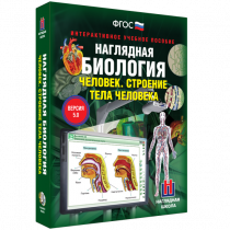 Наглядная биология. Человек. Строение тела человека - «globural.ru» - Архангельск