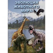 DVD Эволюция животного мира - «globural.ru» - Архангельск