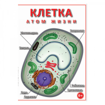 DVD Клетка - "атом жизни" - «globural.ru» - Архангельск