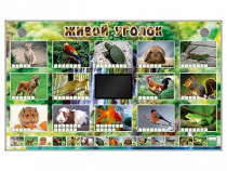 Комплект оборудования "Живой уголок" (животные) - «globural.ru» - Архангельск