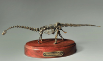 Модель скелета динозавра Diplodocus  (вариант 2) - «globural.ru» - Архангельск