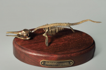 Модель скелета ихтиозавра Ichthyosaurus - «globural.ru» - Архангельск