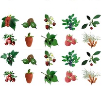 Комплект карточек. Серия наглядных пособий "Запоминай, играй, считай". Ягоды. - «globural.ru» - Архангельск