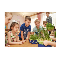 Обучающий комплект экологической направленности "Сити-фермер 2.0 Детский сад" на 30 человек VIP - «globural.ru» - Архангельск