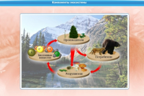 Интерактивные курсы. Биология 7 класс. Базовый - «globural.ru» - Архангельск
