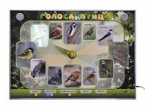 Электрифицированный стенд-часы "Голоса птиц" с комплектом дидактического материала - «globural.ru» - Архангельск