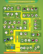 Стенд "Эволюция органического мира" - «globural.ru» - Архангельск