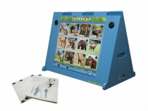 Интерактивная звуковая панель "Угадай-ка" с маркерными полями (дикие животные) - «globural.ru» - Архангельск