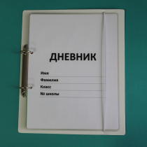 Дневник школьника (с полным набором карточек) - «globural.ru» - Архангельск