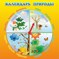 Стенд "Календарь природы" 0.5x0.5 - «globural.ru» - Архангельск