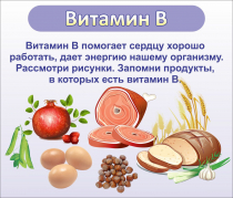 Стенд "Витамин В" - «globural.ru» - Архангельск