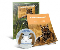 Электронное наглядное пособие «Млекопитающие» - «globural.ru» - Архангельск