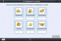 Интерактивные курсы. Биология 8 класс. Базовый  - «globural.ru» - Архангельск