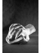 Кисть Давида - «globural.ru» - Архангельск