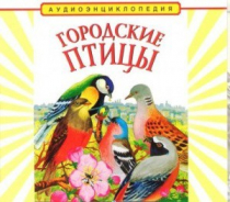 CD "Аудиоэнциклопедия. Городские птицы" - «globural.ru» - Архангельск