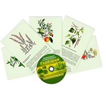 Интерактивный наглядный комплекс "Гербарий "Для начальной школы" - «globural.ru» - Архангельск