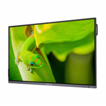 Интерактивный программно-аппаратный комплекс Geckotouch Interactive IP75GT-C в комплекте с настенным креплением - «globural.ru» - Архангельск