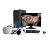 Макет масштабный "Скелет кошки" Масштаб 1:1 - «globural.ru» - Архангельск