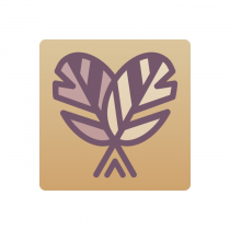 Тренажер-корректор зеркального письма “Почерк Леонардо” - «globural.ru» - Архангельск