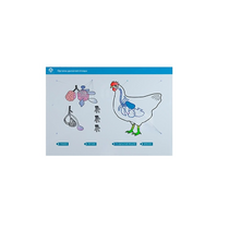 Стенд-планшет светодинамический "Изучение органов дыхания сельскохозяйственных животных" со сменными панелями - «globural.ru» - Архангельск