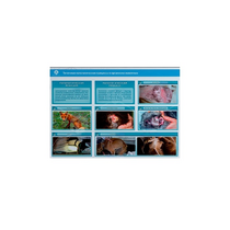 Стенд-планшет светодинамический "Изучение типических патологических процессов в организмах животных" - «globural.ru» - Архангельск