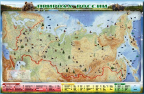 Электронно-информационный (маркерный) стенд "Природа России" - «globural.ru» - Архангельск