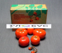 Муляжи Дикая форма и культурные сорта томатов - «globural.ru» - Архангельск