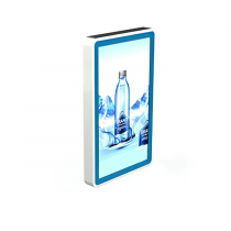 Видеопанель PROMO WALL 55 - «globural.ru» - Архангельск