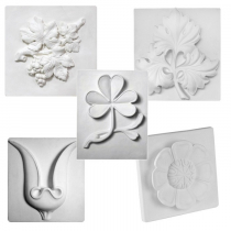 Комплект гипсовых моделей растений  - «globural.ru» - Архангельск