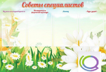 Стенд "Советы специалистов" - «globural.ru» - Архангельск